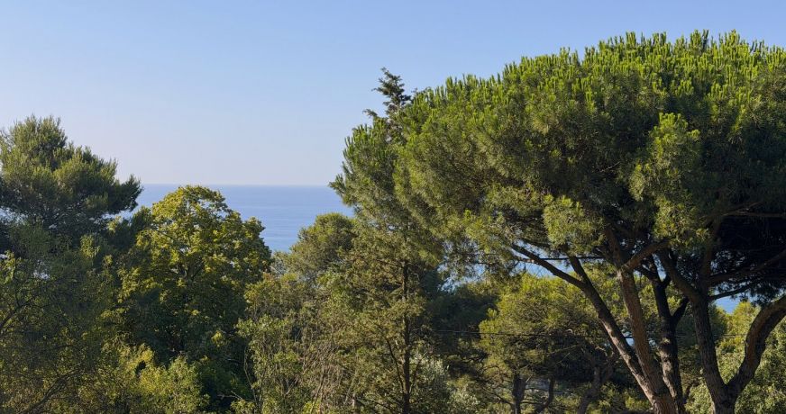 vente Terrain Sete