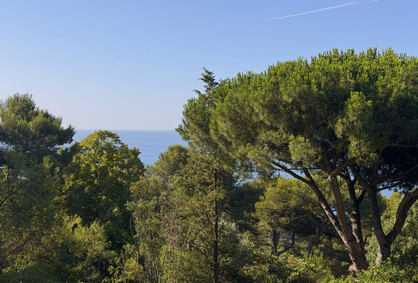 vente Terrain Sete - Photo 1