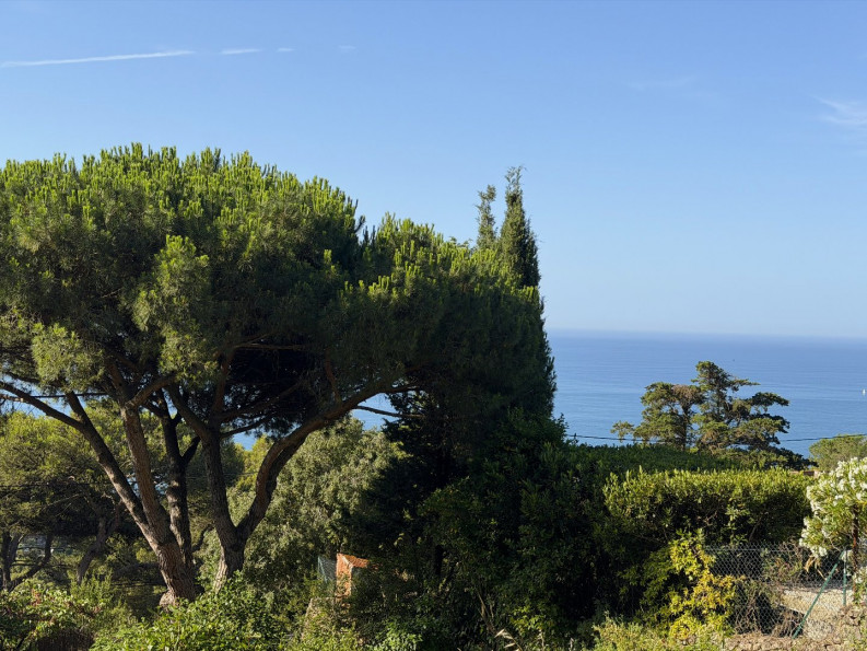 vente Terrain Sete - Photo 2
