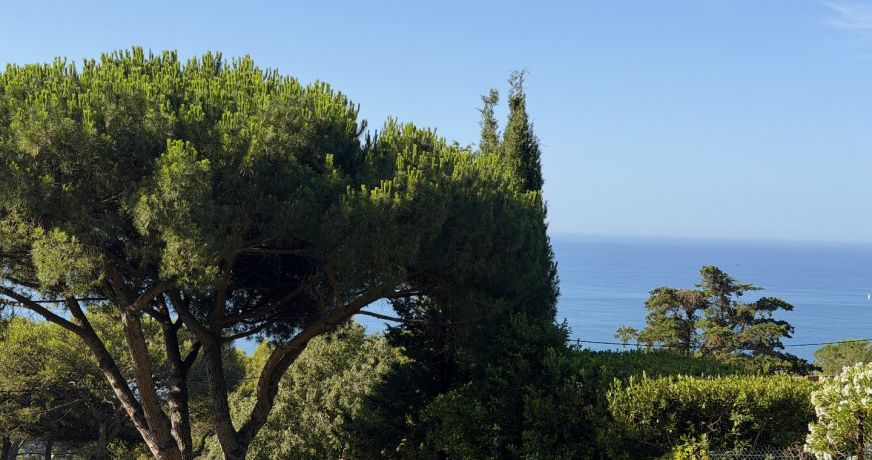 vente Terrain Sete