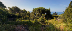 vente Terrain Sete