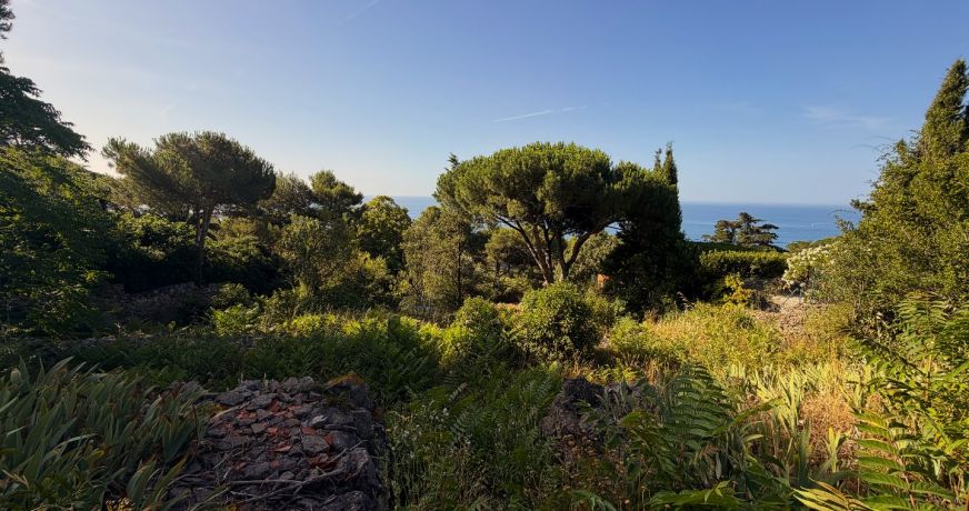 vente Terrain Sete