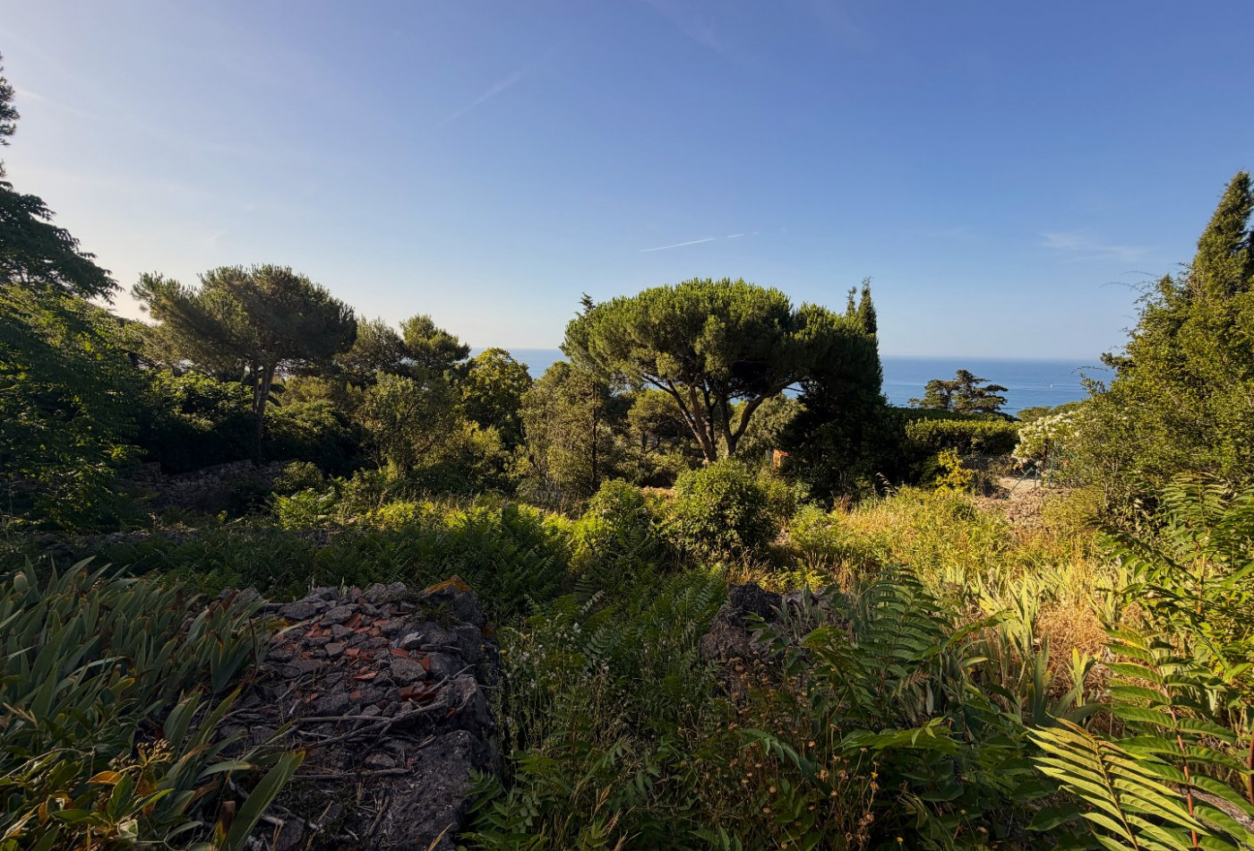 vente Terrain Sete - Photo 3