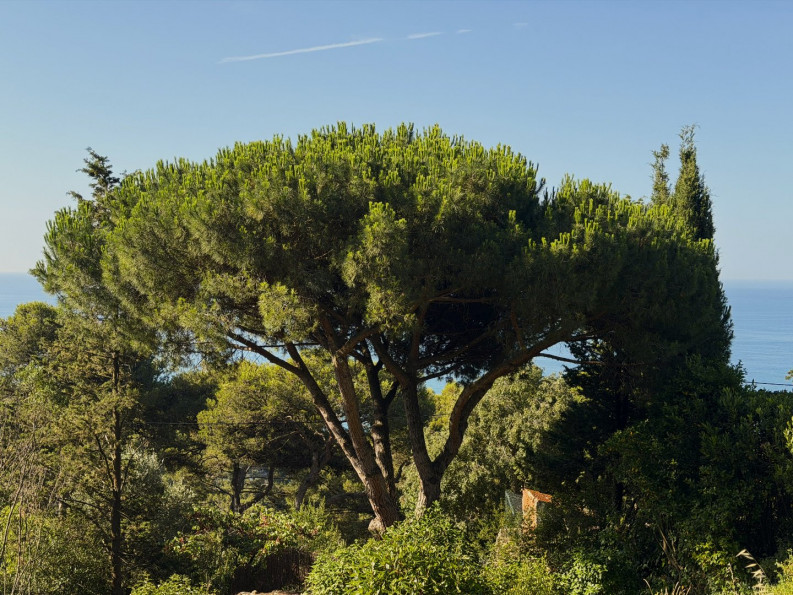 vente Terrain Sete - Photo 4