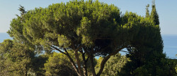 vente Terrain Sete