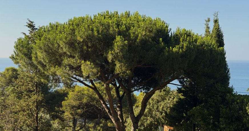 vente Terrain Sete