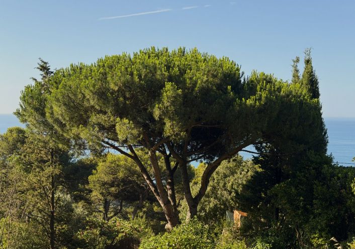vente Terrain Sete