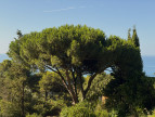 vente Terrain Sete