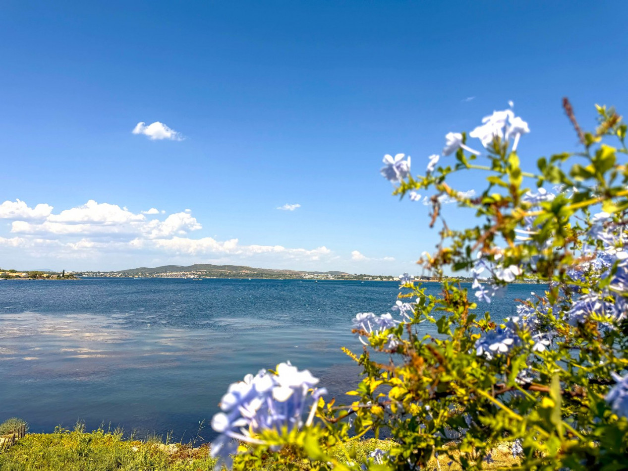 vente Maison Sete - Photo 1