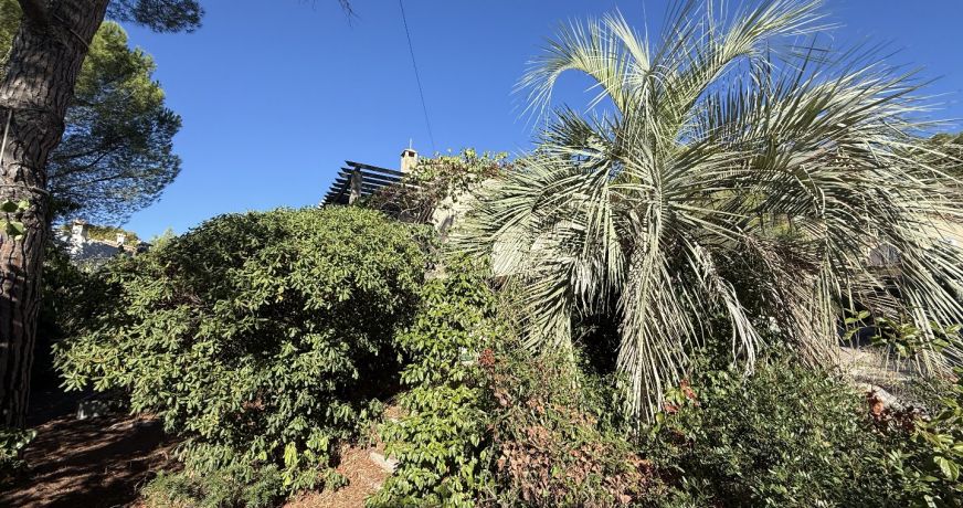 vente Maison Sete