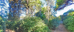 vente Terrain Sete