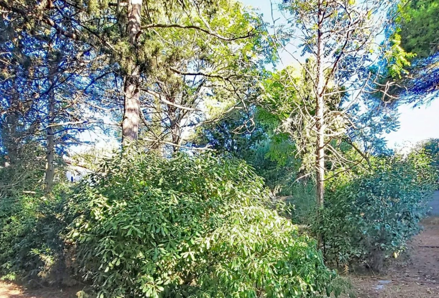 vente Terrain Sete - Photo 3