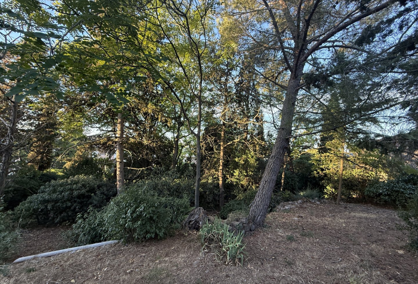 vente Terrain Sete - Photo 1