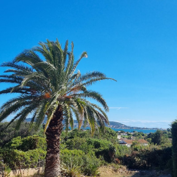 vente Terrain constructible Balaruc Les Bains - Photo 5