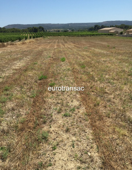 vente Terrain Montbazin - Photo 1