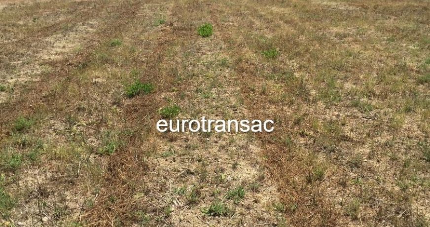 vente Terrain Montbazin