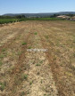vente Terrain Montbazin