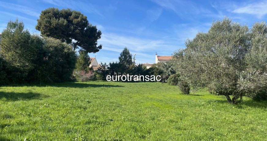 vente Terrain Loupian