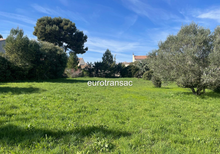 vente Terrain Loupian - Photo 2