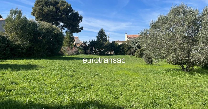 vente Terrain Loupian