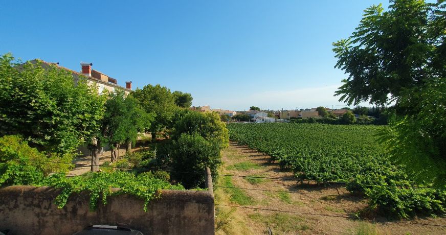 location Maison Puisserguier