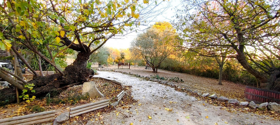 location Duplex Cessenon Sur Orb - Photo 10