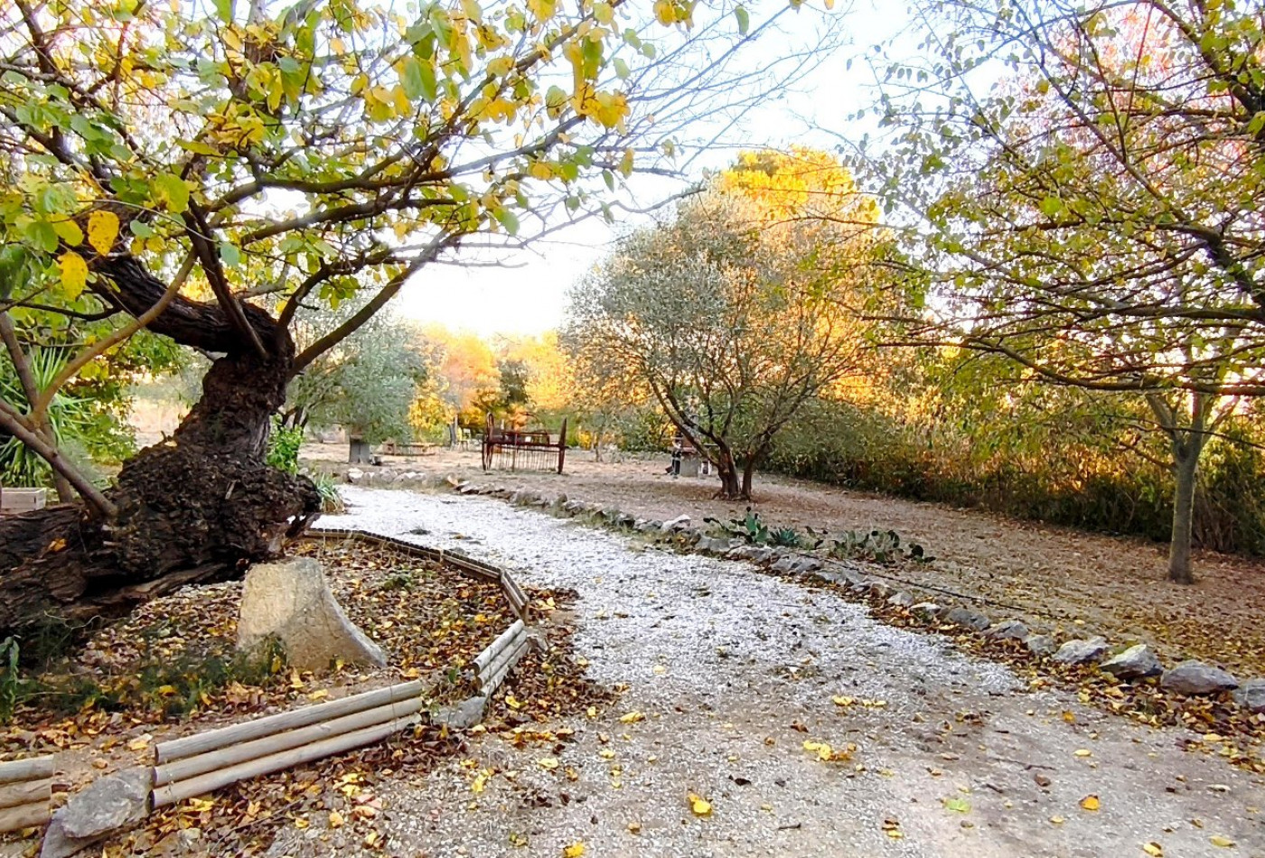 location Duplex Cessenon Sur Orb - Photo 10