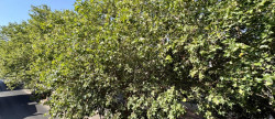 location Appartement Beziers
