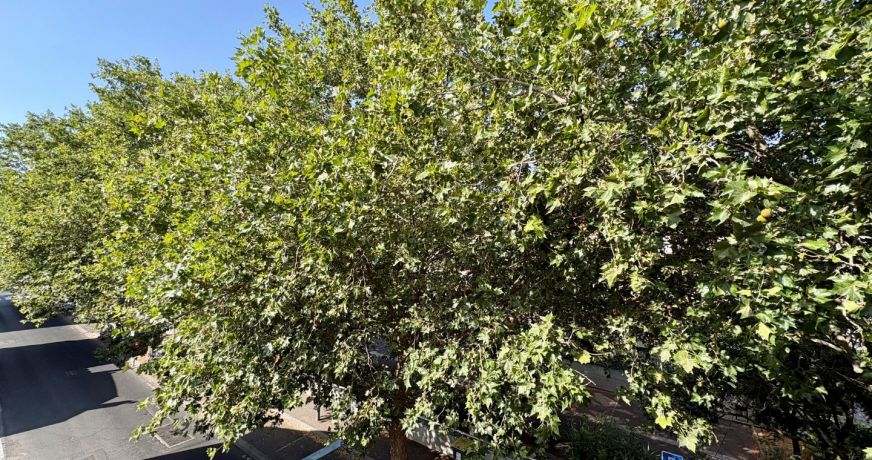 location Appartement Beziers