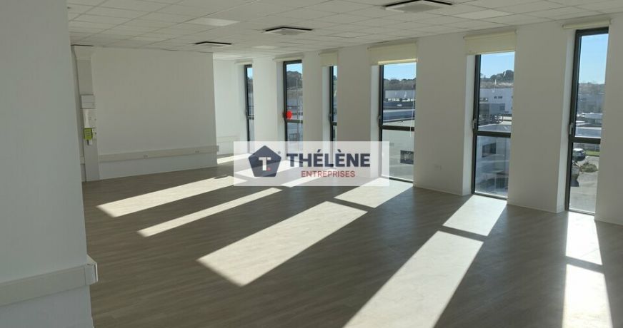 location Bureau Castelnau Le Lez