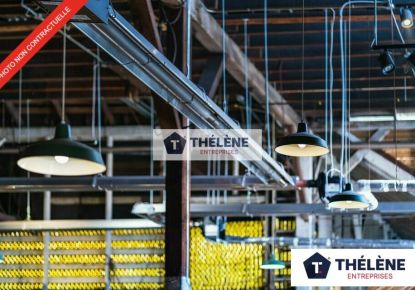 location Locaux d'activité Sete