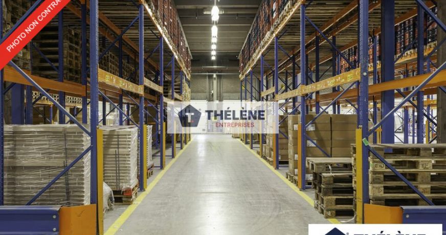 location Locaux d'activité Sete