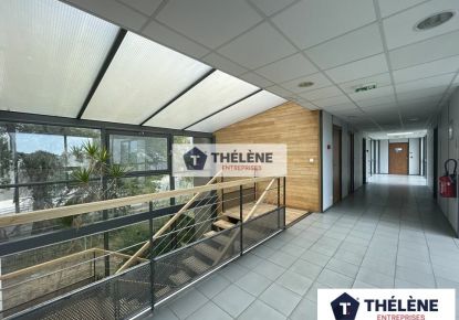 location Bureau Montpellier