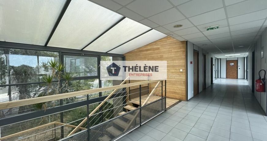 location Bureau Montpellier