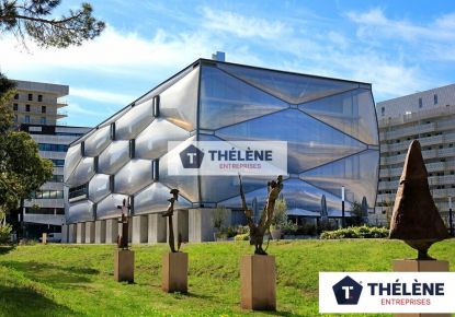 location Bureau Montpellier