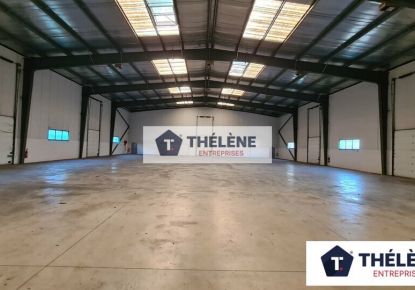 location Locaux d'activité Mauguio