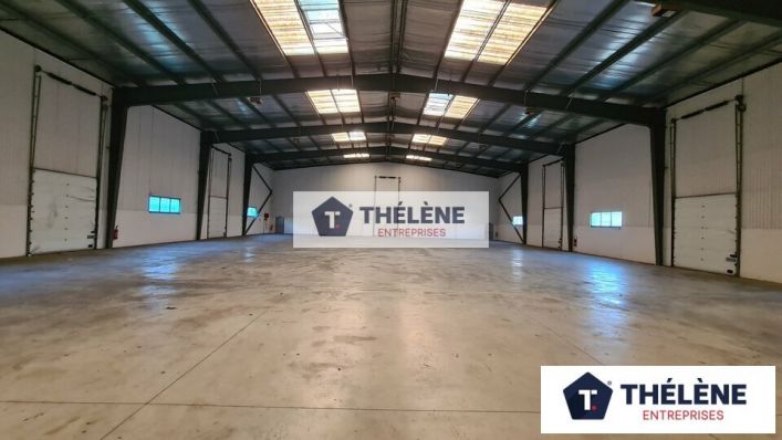 location Locaux d'activité Mauguio