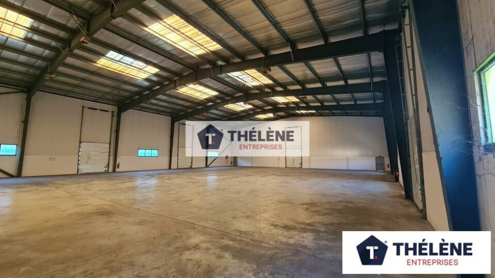 location Locaux d'activité Mauguio - Photo 2