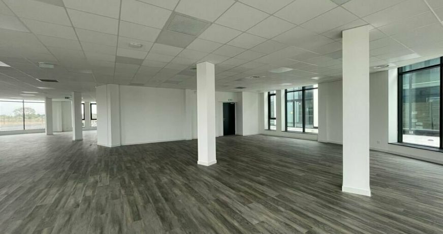 location Bureau Mauguio