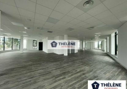 location Bureau Mauguio