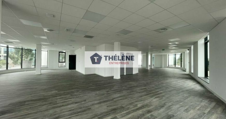 location Bureau Mauguio