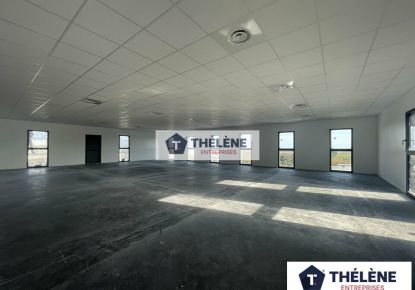 location Bureau Villeneuve-les-maguelone