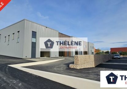 vente Locaux d'activité Vailhauques