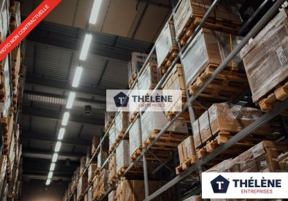 location Locaux d'activité Cournonterral