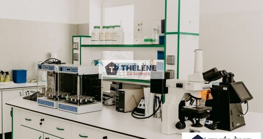 vente Locaux d'activité Vendargues