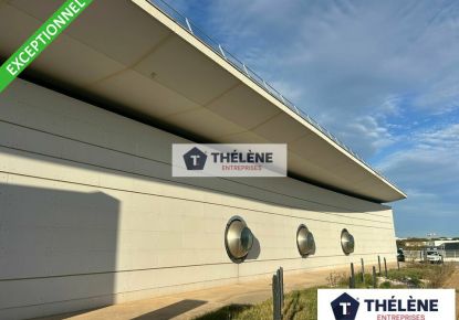 vente Locaux d'activité Montpellier