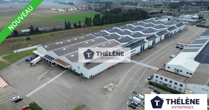 location Locaux d'activité Nimes