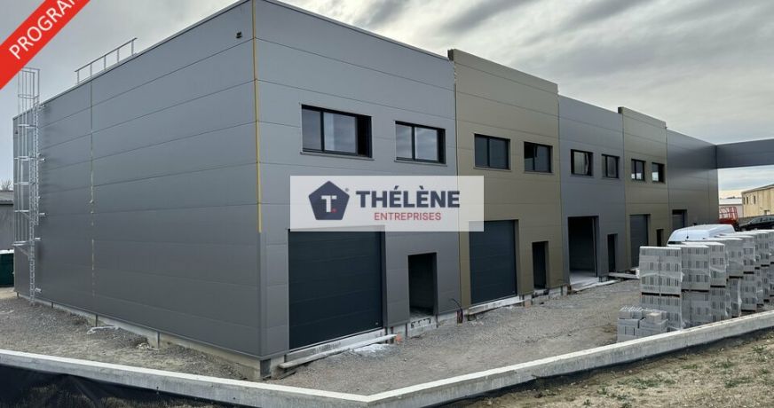 vente Locaux d'activité Gigean