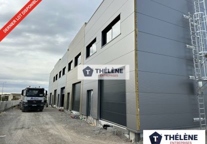 vente Locaux d'activité Gigean