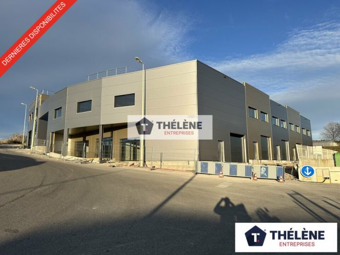 vente Locaux d'activité Gigean